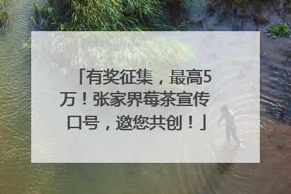 有奖征集，最高5万！张家界莓茶宣传口号，邀您共创！