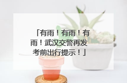 有雨！有雨！有雨！武汉交警再发考前出行提示！