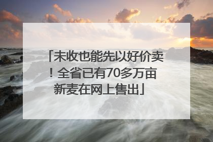 未收也能先以好价卖！全省已有70多万亩新麦在网上售出
