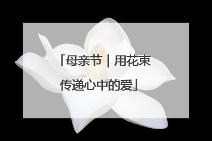 母亲节｜用花束传递心中的爱