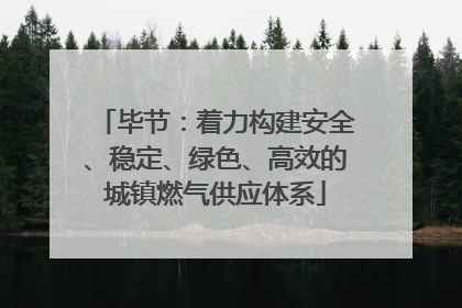 毕节：着力构建安全、稳定、绿色、高效的城镇燃气供应体系