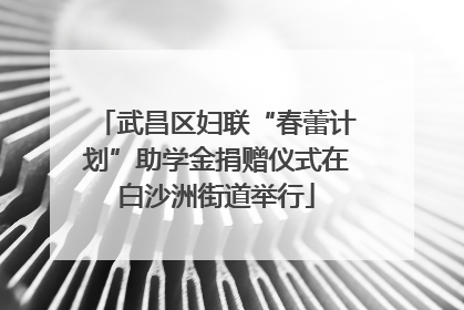 武昌区妇联“春蕾计划”助学金捐赠仪式在白沙洲街道举行