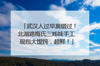 武汉人过早莫错过！北湖路梅氏三姊妹手工现包大馄饨，超鲜！