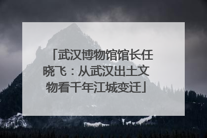 武汉博物馆馆长任晓飞：从武汉出土文物看千年江城变迁