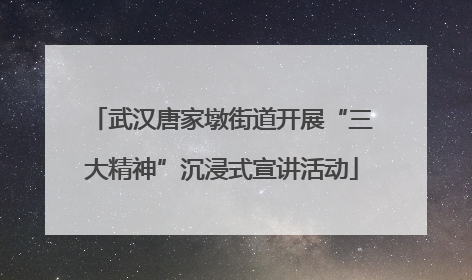 武汉唐家墩街道开展“三大精神”沉浸式宣讲活动