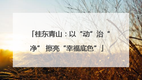 桂东青山：以“动”治“净” 擦亮“幸福底色”