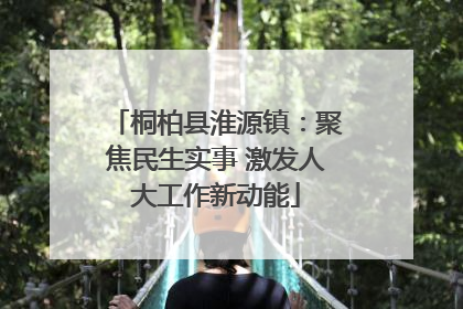 桐柏县淮源镇：聚焦民生实事 激发人大工作新动能