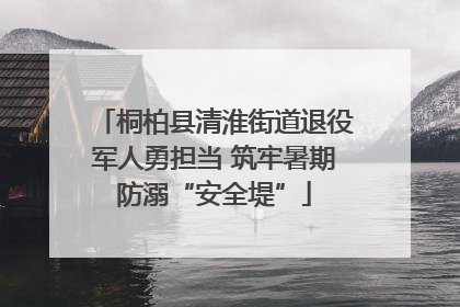 桐柏县清淮街道退役军人勇担当 筑牢暑期防溺“安全堤”