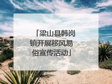梁山县韩岗镇开展移风易俗宣传活动