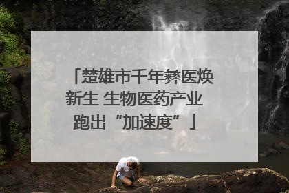 楚雄市千年彝医焕新生 生物医药产业跑出“加速度”