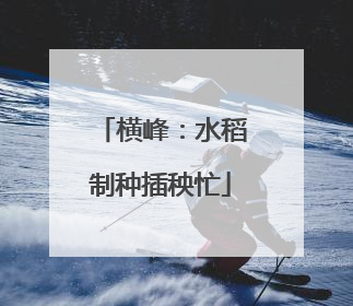 横峰：水稻制种插秧忙