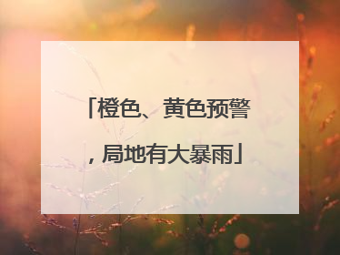 橙色、黄色预警，局地有大暴雨