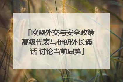 欧盟外交与安全政策高级代表与伊朗外长通话 讨论当前局势
