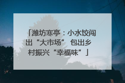 潍坊寒亭：小水饺闯出“大市场” 包出乡村振兴“幸福味”