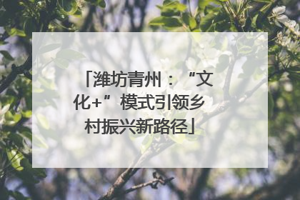 潍坊青州：“文化+”模式引领乡村振兴新路径