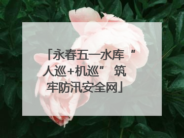永春五一水库“人巡+机巡” 筑牢防汛安全网