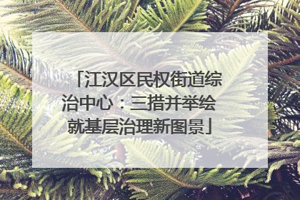 江汉区民权街道综治中心：三措并举绘就基层治理新图景