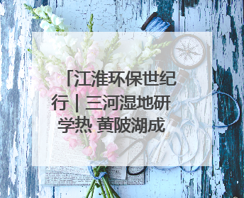 江淮环保世纪行｜三河湿地研学热 黄陂湖成鸟类天堂