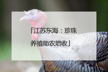 江苏东海：珍珠养殖助农增收