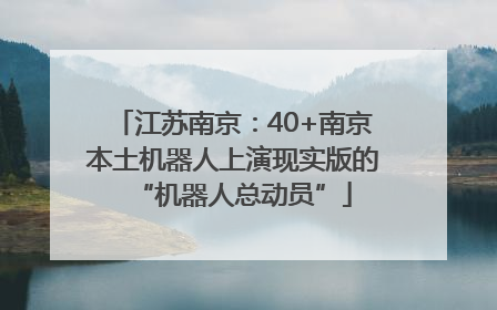 江苏南京：40+南京本土机器人上演现实版的“机器人总动员”