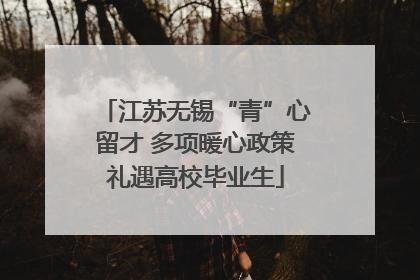 江苏无锡“青”心留才 多项暖心政策礼遇高校毕业生