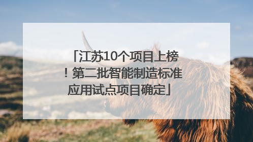 江苏10个项目上榜！第二批智能制造标准应用试点项目确定