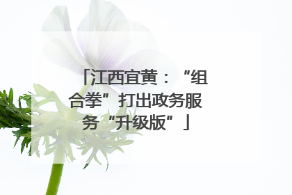 江西宜黄：“组合拳”打出政务服务“升级版”