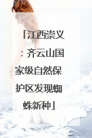 江西崇义：齐云山国家级自然保护区发现蜘蛛新种