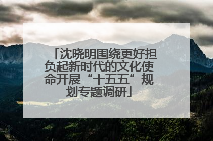 沈晓明围绕更好担负起新时代的文化使命开展“十五五”规划专题调研