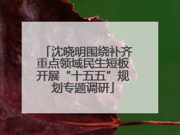 沈晓明围绕补齐重点领域民生短板开展“十五五”规划专题调研