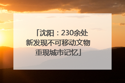 沈阳：230余处新发现不可移动文物重现城市记忆