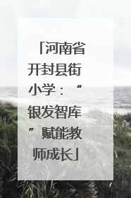河南省开封县街小学：“银发智库”赋能教师成长