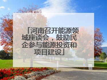 河南召开能源领域座谈会，鼓励民企参与能源投资和项目建设