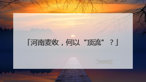 河南麦收，何以“顶流”？
