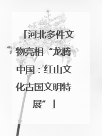河北多件文物亮相“龙腾中国：红山文化古国文明特展”