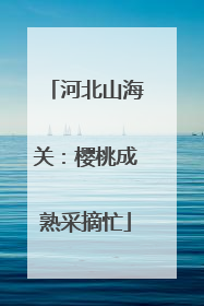 河北山海关：樱桃成熟采摘忙