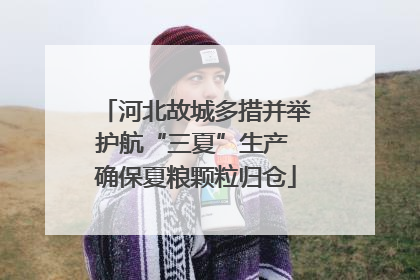 河北故城多措并举护航“三夏”生产 确保夏粮颗粒归仓