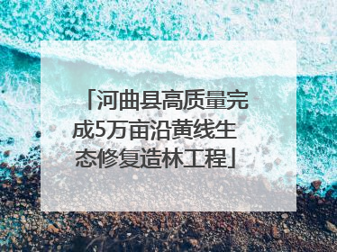 河曲县高质量完成5万亩沿黄线生态修复造林工程