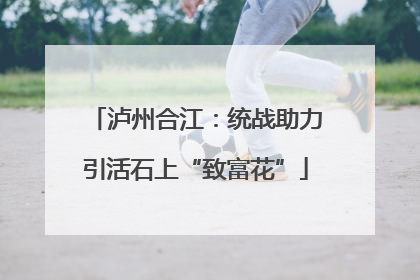 泸州合江：统战助力引活石上“致富花”