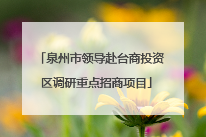 泉州市领导赴台商投资区调研重点招商项目