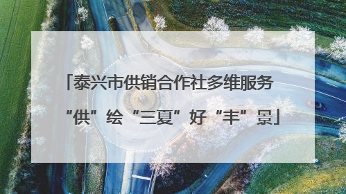 泰兴市供销合作社多维服务 “供”绘“三夏”好“丰”景