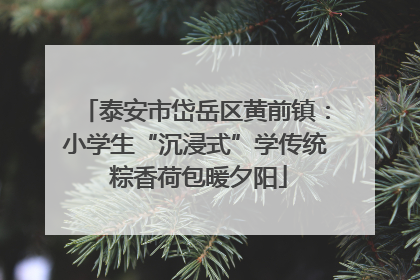 泰安市岱岳区黄前镇：小学生“沉浸式”学传统 粽香荷包暖夕阳