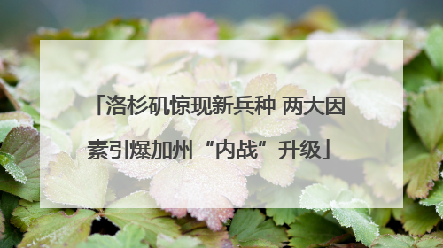 洛杉矶惊现新兵种 两大因素引爆加州“内战”升级