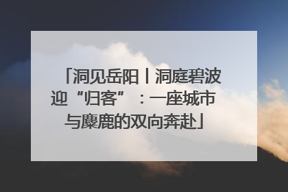 洞见岳阳丨洞庭碧波迎“归客”：一座城市与麋鹿的双向奔赴