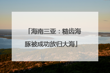 海南三亚：糙齿海豚被成功放归大海
