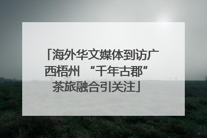 海外华文媒体到访广西梧州 “千年古郡”茶旅融合引关注