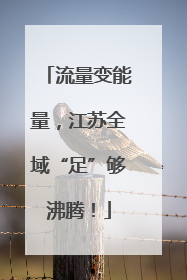 流量变能量，江苏全域“足”够沸腾！