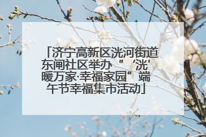 济宁高新区洸河街道东闸社区举办“‘洸’暖万家·幸福家园”端午节幸福集市活动