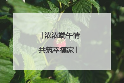 浓浓端午情 共筑幸福家