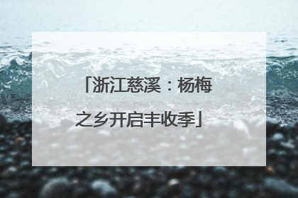 浙江慈溪：杨梅之乡开启丰收季